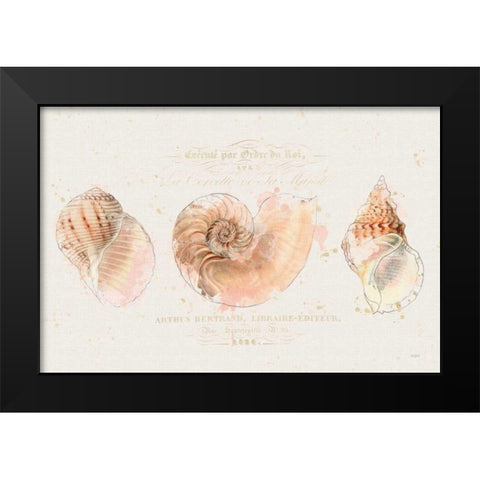Shell Collector I Black Modern Wood Framed Art Print by Pertiet, Katie