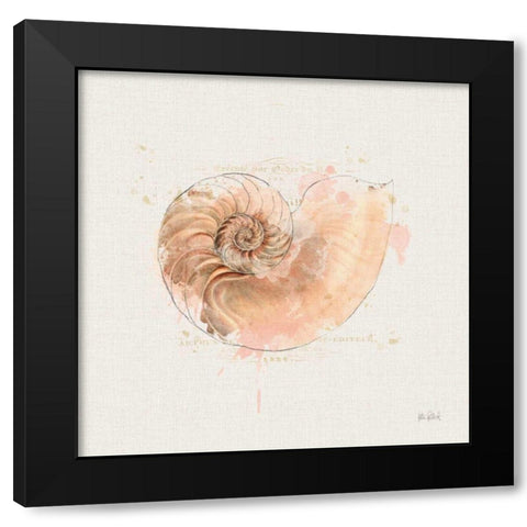 Shell Collector II Black Modern Wood Framed Art Print with Double Matting by Pertiet, Katie