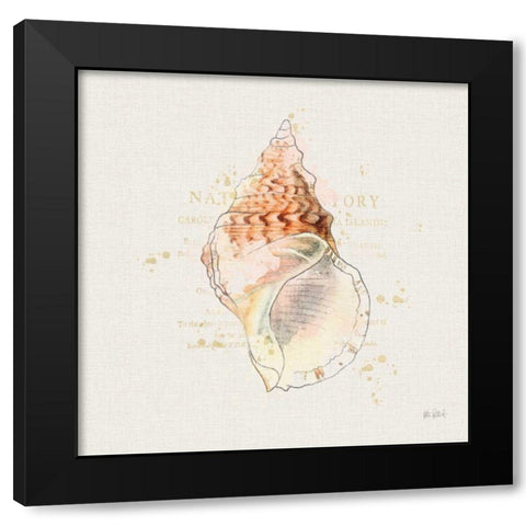 Shell Collector III Black Modern Wood Framed Art Print by Pertiet, Katie
