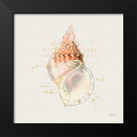 Shell Collector III Black Modern Wood Framed Art Print by Pertiet, Katie