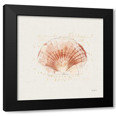 Shell Collector IV Black Modern Wood Framed Art Print by Pertiet, Katie