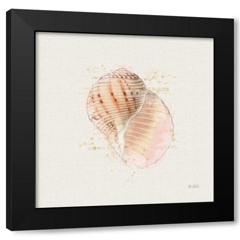 Shell Collector V Black Modern Wood Framed Art Print by Pertiet, Katie