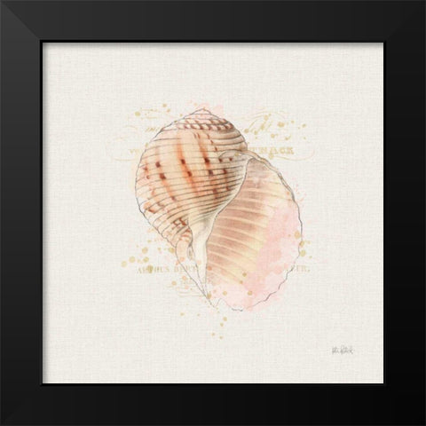 Shell Collector V Black Modern Wood Framed Art Print by Pertiet, Katie
