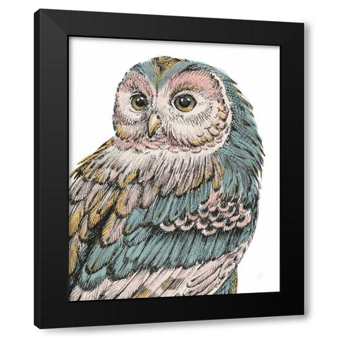 Beautiful Owls I Pastel Black Modern Wood Framed Art Print with Double Matting by Brissonnet, Daphne