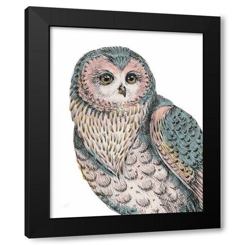 Beautiful Owls IV Pastel Black Modern Wood Framed Art Print by Brissonnet, Daphne