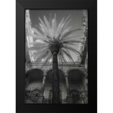 Palermo Black Modern Wood Framed Art Print by Dratfield, Jim
