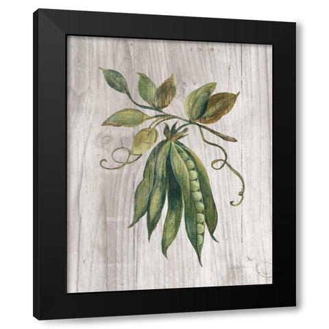 Market Vegetables II Black Modern Wood Framed Art Print with Double Matting by Vassileva, Silvia
