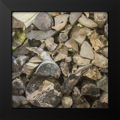 Chopped I Crop Black Modern Wood Framed Art Print by Urquhart, Elizabeth