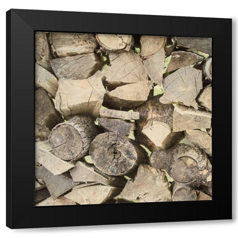 Chopped II Crop Black Modern Wood Framed Art Print by Urquhart, Elizabeth