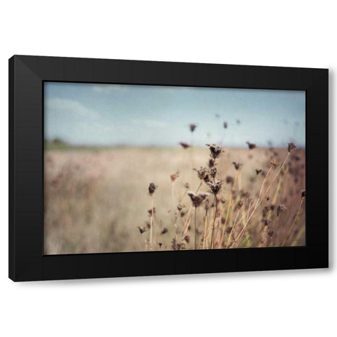Falling Queen Annes Lace I Crop Black Modern Wood Framed Art Print by Urquhart, Elizabeth