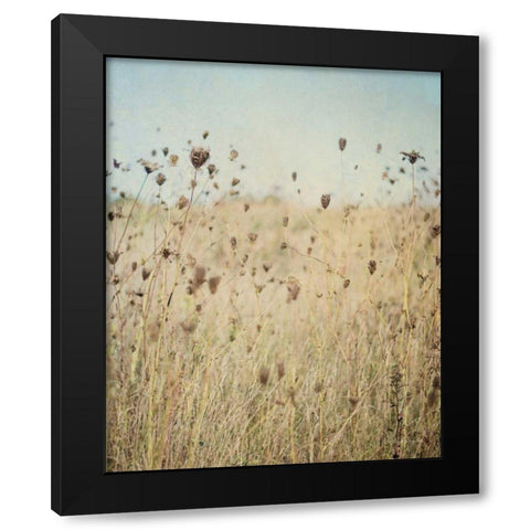 Falling Queen Annes Lace II Crop Black Modern Wood Framed Art Print by Urquhart, Elizabeth