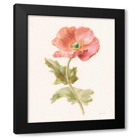 Garden Poppy Black Modern Wood Framed Art Print with Double Matting by Nai, Danhui