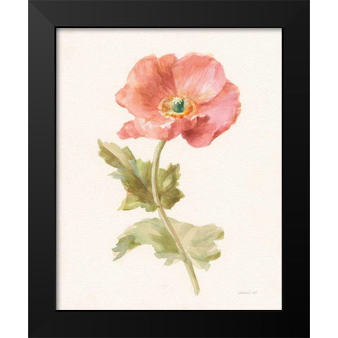 Garden Poppy Black Modern Wood Framed Art Print by Nai, Danhui