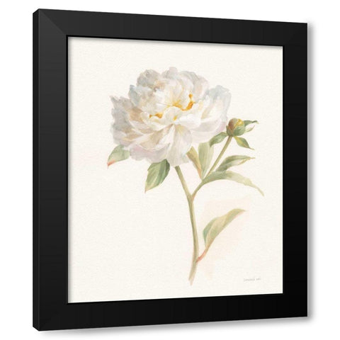 Garden Peony Black Modern Wood Framed Art Print with Double Matting by Nai, Danhui