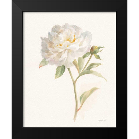 Garden Peony Black Modern Wood Framed Art Print by Nai, Danhui