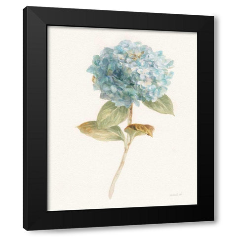 Garden Hydrangea Black Modern Wood Framed Art Print by Nai, Danhui