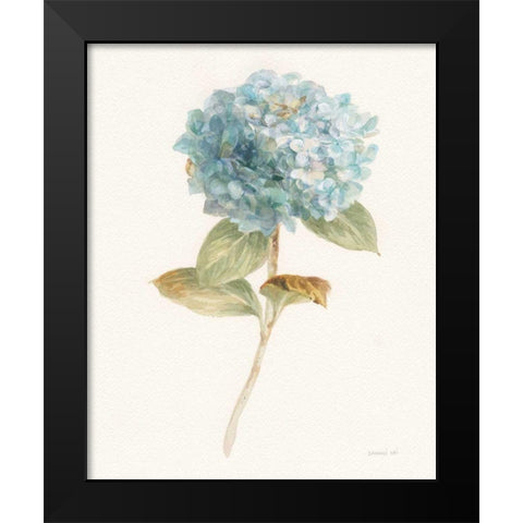 Garden Hydrangea Black Modern Wood Framed Art Print by Nai, Danhui