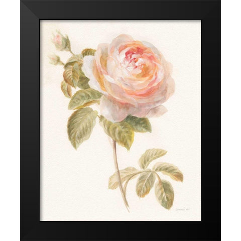 Garden Rose Black Modern Wood Framed Art Print by Nai, Danhui