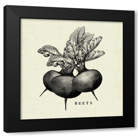 Linen Vegetable BW Sketch Beets Black Modern Wood Framed Art Print with Double Matting by Studio Mousseau