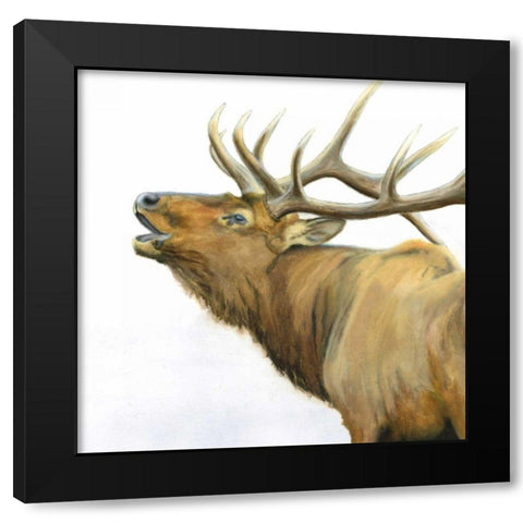 Majestic Elk Brown Crop Black Modern Wood Framed Art Print by Wiens, James