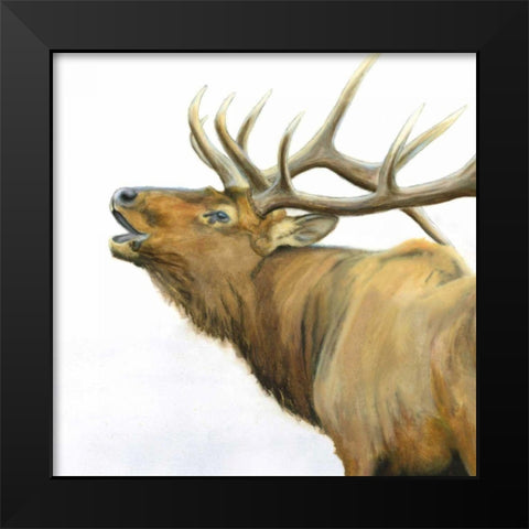 Majestic Elk Brown Crop Black Modern Wood Framed Art Print by Wiens, James