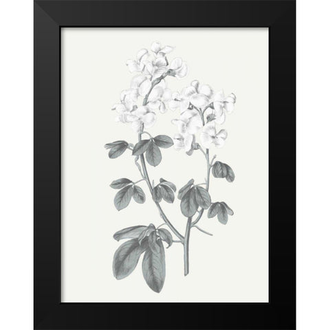 Neutral Botanical III Black Modern Wood Framed Art Print by Wild Apple Portfolio