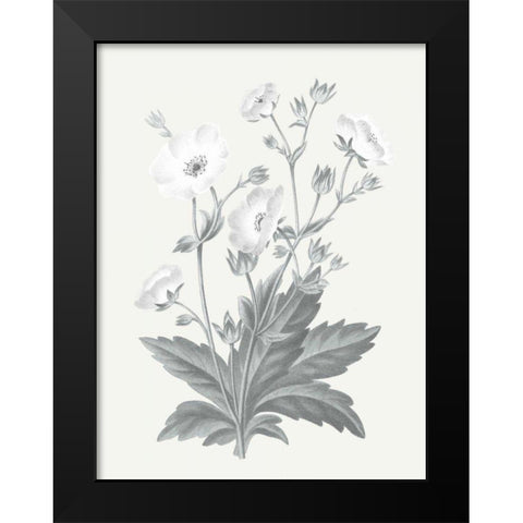 Neutral Botanical VI Black Modern Wood Framed Art Print by Wild Apple Portfolio