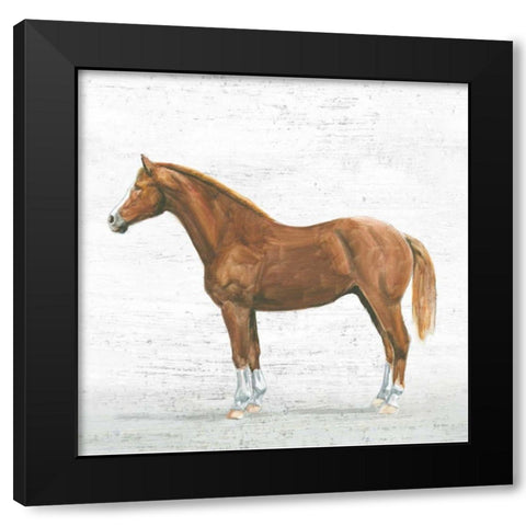 Natural Charm II Sq on Wood Black Modern Wood Framed Art Print by Adams, Emily