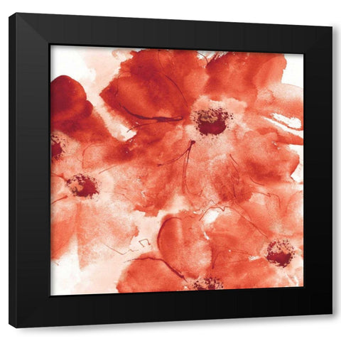 Seashell Cosmos I Red and Orange Black Modern Wood Framed Art Print with Double Matting by Paschke, Chris