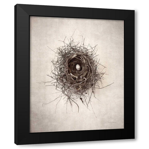 Nest I Black Modern Wood Framed Art Print by Van Swearingen, Debra