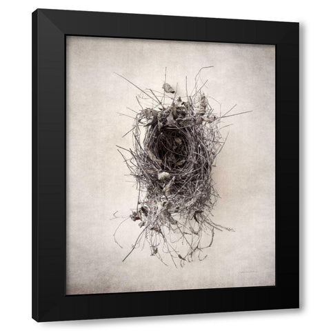 Nest II Black Modern Wood Framed Art Print with Double Matting by Van Swearingen, Debra