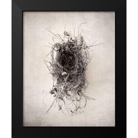 Nest II Black Modern Wood Framed Art Print by Van Swearingen, Debra