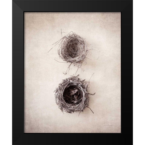Nest IV Black Modern Wood Framed Art Print by Van Swearingen, Debra