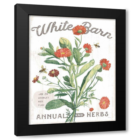 White Barn Flowers IV Black Modern Wood Framed Art Print with Double Matting by Schlabach, Sue