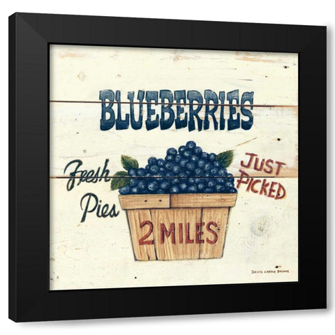 Blueberries Just Picked Black Modern Wood Framed Art Print with Double Matting by Brown, David Carter