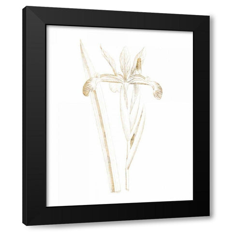 Gilded Botanical III Black Modern Wood Framed Art Print with Double Matting by Wild Apple Portfolio