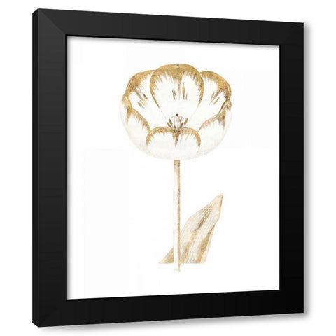Gilded Botanical V Black Modern Wood Framed Art Print with Double Matting by Wild Apple Portfolio