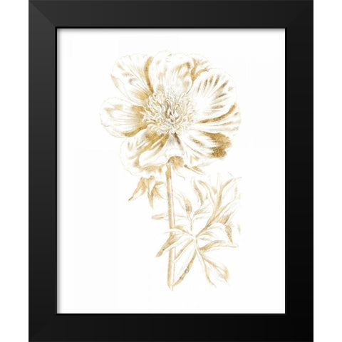Gilded Botanical VIII Black Modern Wood Framed Art Print by Wild Apple Portfolio