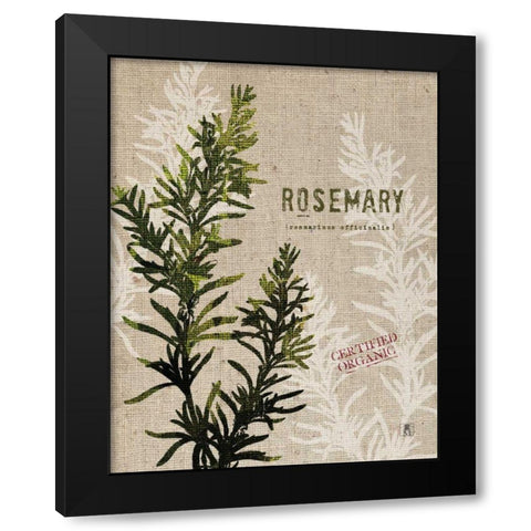 Organic Rosemary No Butterfly Black Modern Wood Framed Art Print by Studio Mousseau
