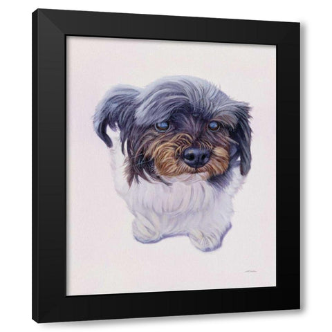 McCoy Black Modern Wood Framed Art Print by Ruby, James