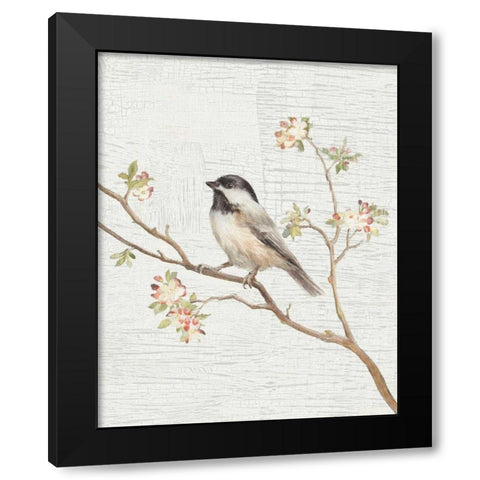 Black Capped Chickadee Vintage v2 Black Modern Wood Framed Art Print with Double Matting by Nai, Danhui