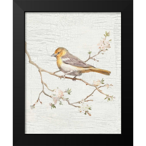 Northern Oriole Vintage v2 Black Modern Wood Framed Art Print by Nai, Danhui