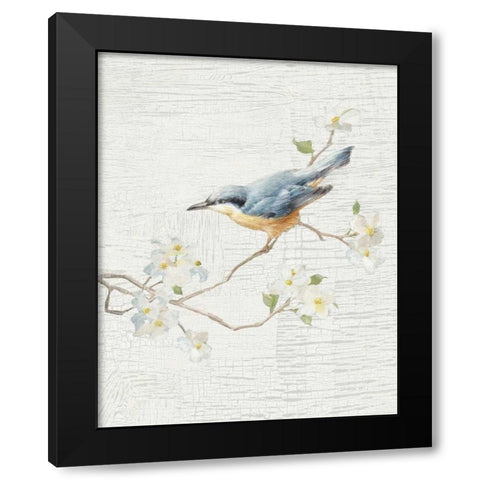 Nuthatch Vintage v2 Black Modern Wood Framed Art Print with Double Matting by Nai, Danhui