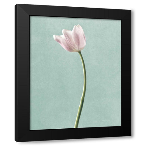 Light Tulips I Harbor Gray Black Modern Wood Framed Art Print with Double Matting by Van Swearingen, Debra
