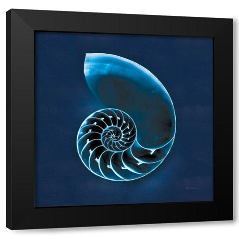 Cyanotype Sea II Black Modern Wood Framed Art Print with Double Matting by Schlabach, Sue