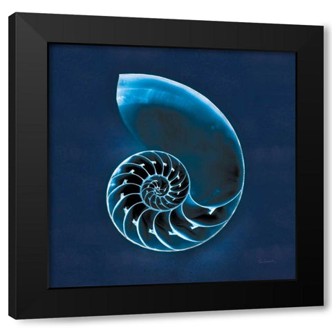 Cyanotype Sea II Black Modern Wood Framed Art Print by Schlabach, Sue
