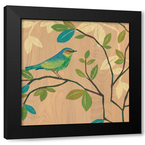 Songbird III Black Modern Wood Framed Art Print with Double Matting by D Salusti