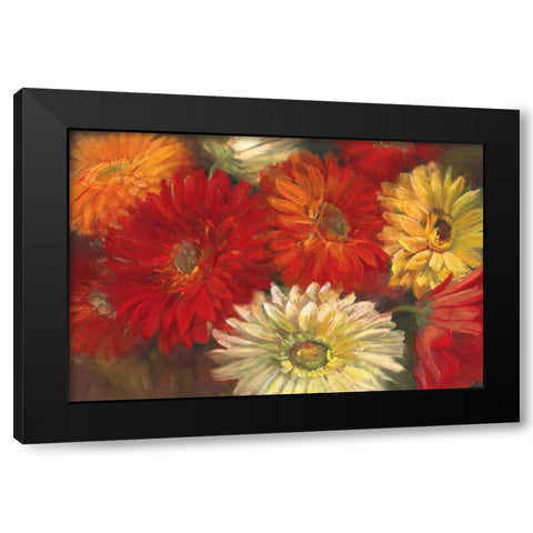 Gerberas Black Modern Wood Framed Art Print with Double Matting by Rowan, Carol
