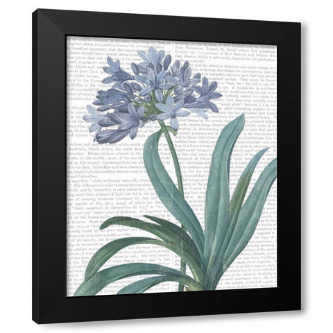 Summer Botanicals I Black Modern Wood Framed Art Print with Double Matting by Wild Apple Portfolio