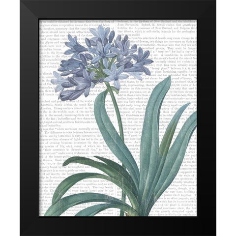 Summer Botanicals I Black Modern Wood Framed Art Print by Wild Apple Portfolio